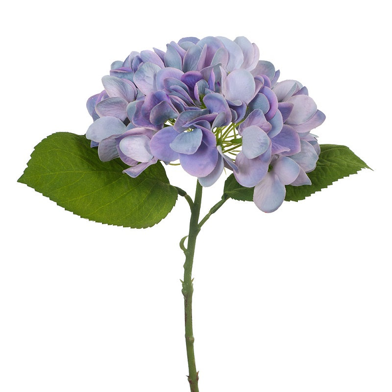 Hydrangea Blue 33cml