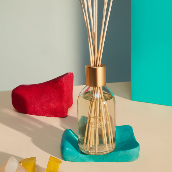 WE MET IN SAIGON | Lemongrass | 250ml Fragrance Diffuser